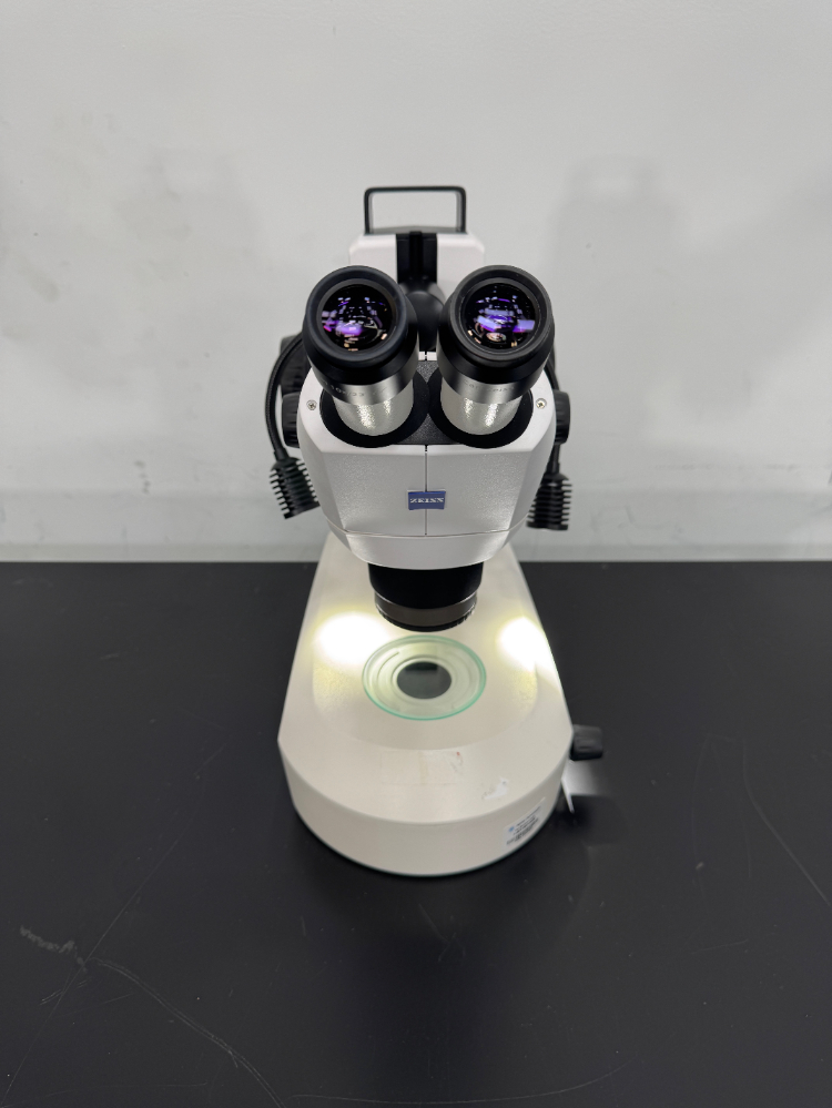 Image of Zeiss Stemi 305 Stereo Microscope
